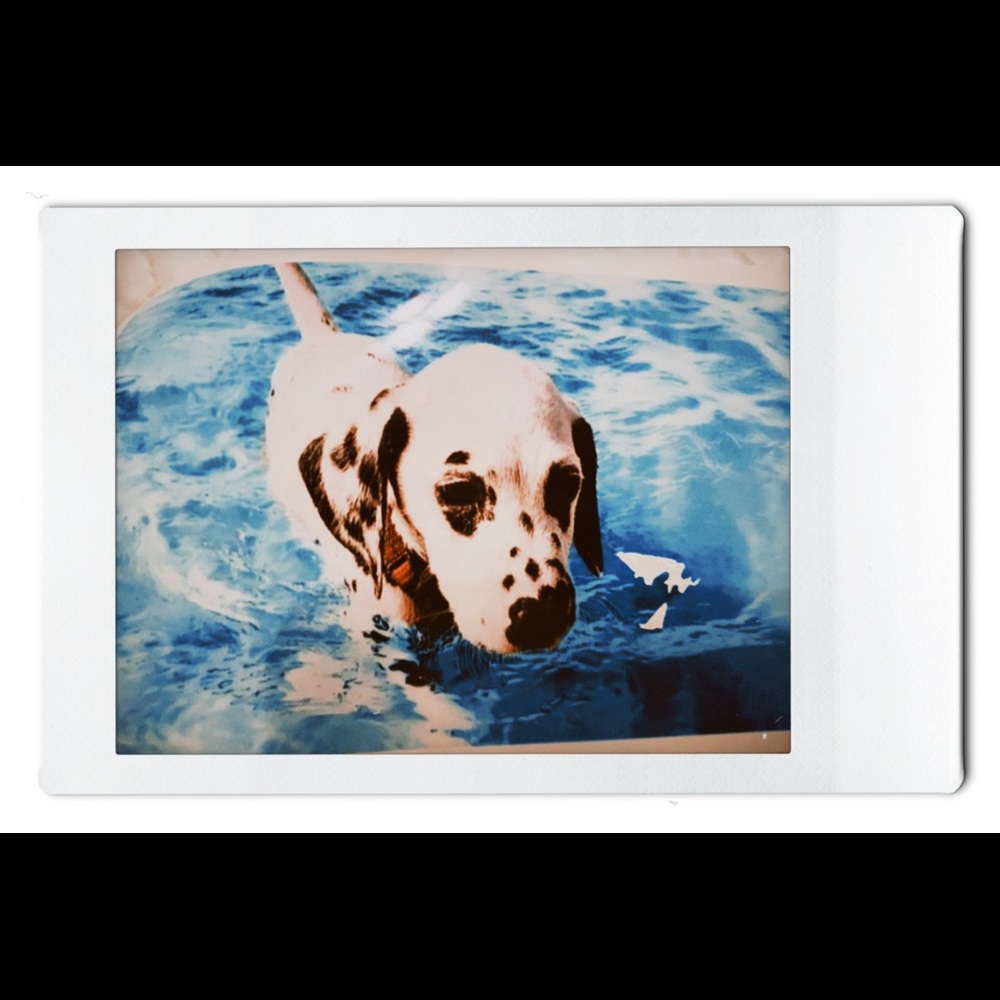 Meet your Posher, Brett